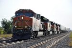 Z train cruises west